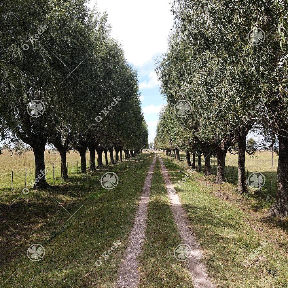 Campo en Venta de 227 Has en Ranchos. Mixto