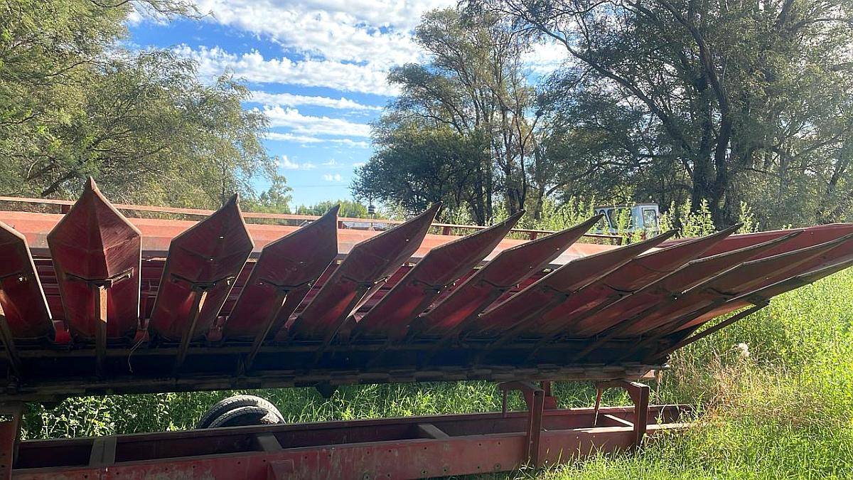 Cabezal Girasolero Mainero con Carro
