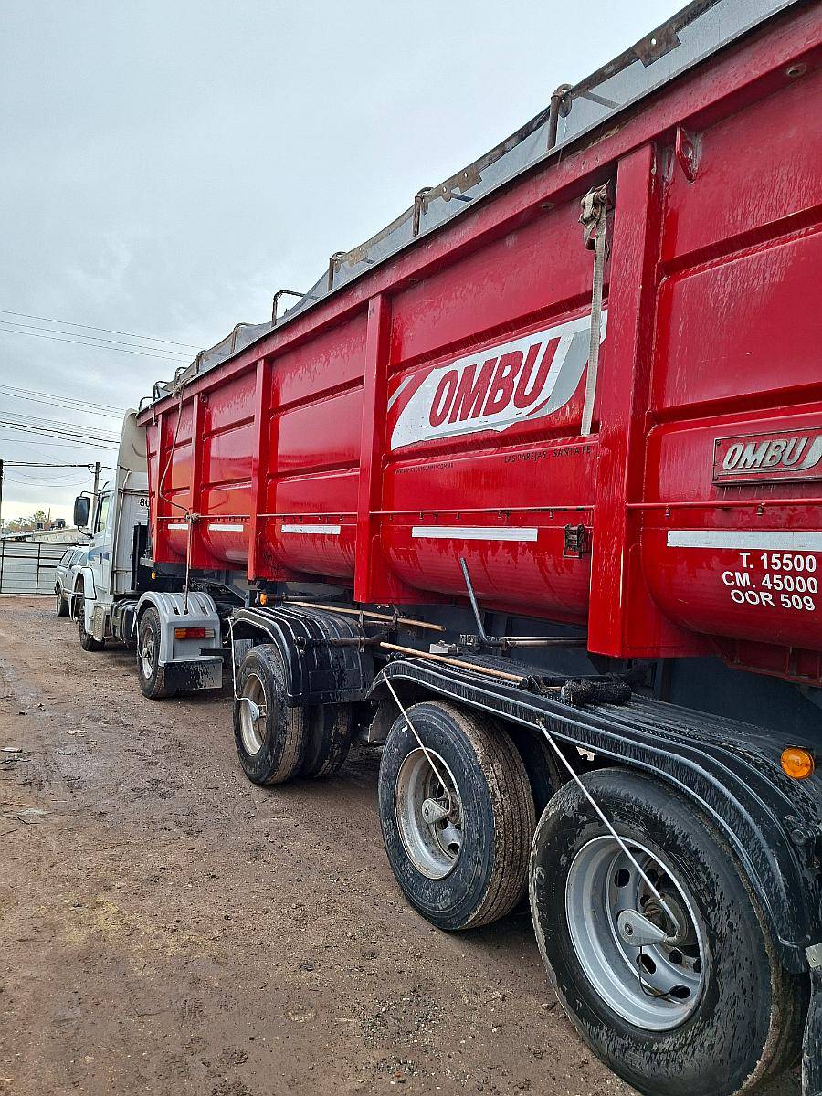 Batea Ombu 40 M 20015