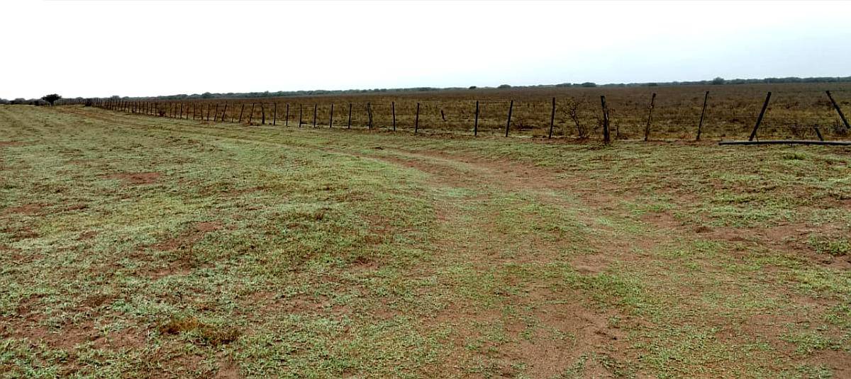 Vende10.000 Ha Zona el Bagual, SUR de San Luis