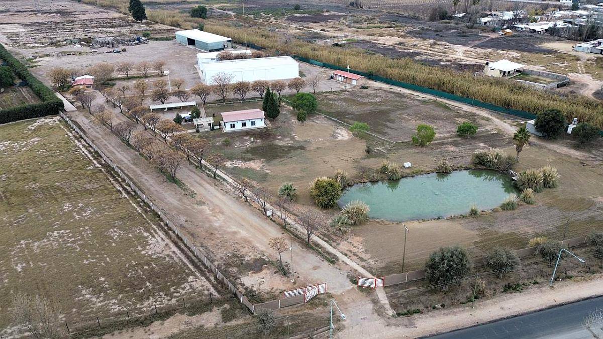 Galpones con Mejoras Sobre Buenos Vecinos Guaymallén