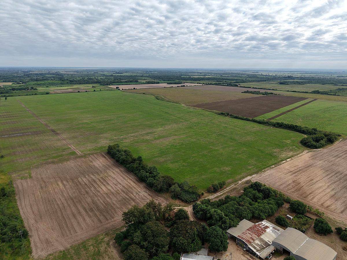 Palma Sola, Pilcomayo, Formosa - 153 Ha