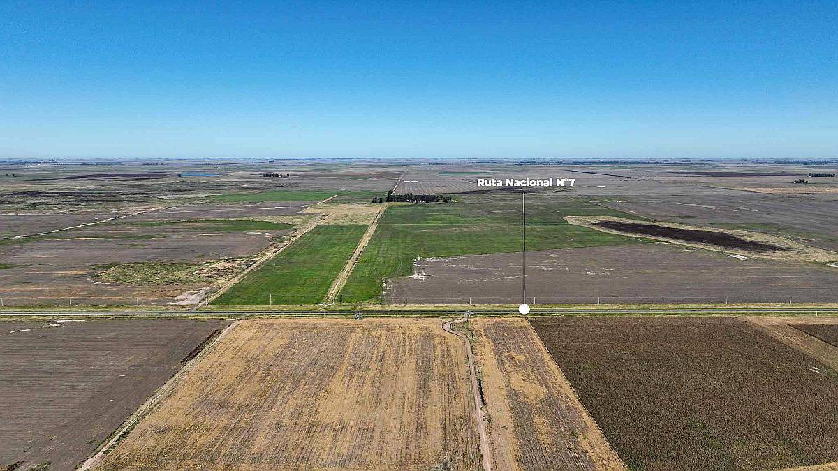 Pcia. de Santa FE - Aaron Castellanos 1125 Has