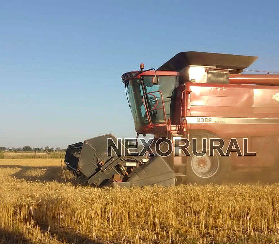 Case 2388 Extreme, 2005. 8000/1500 HS. 4x4. 30 P.