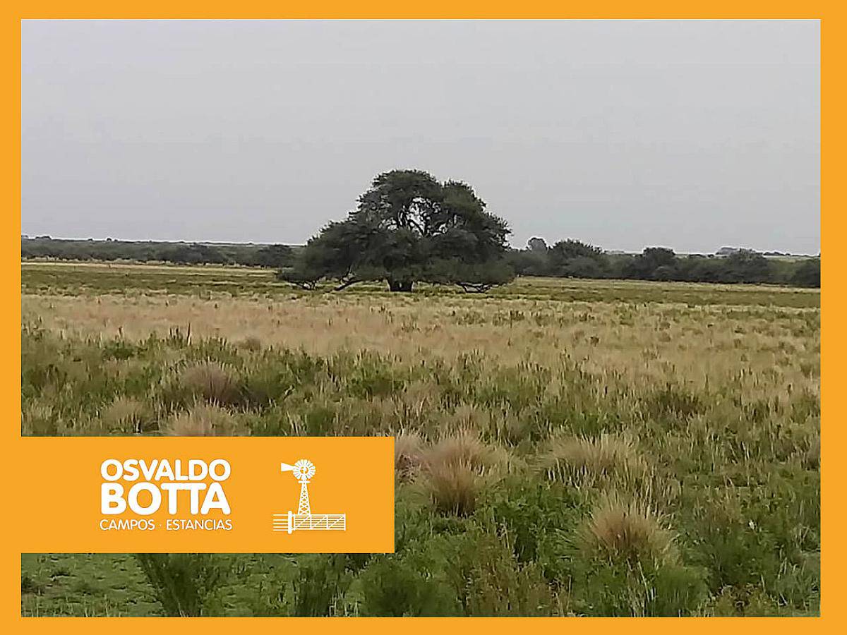 17 Mil Hectáreas en Victorica, la Pampa