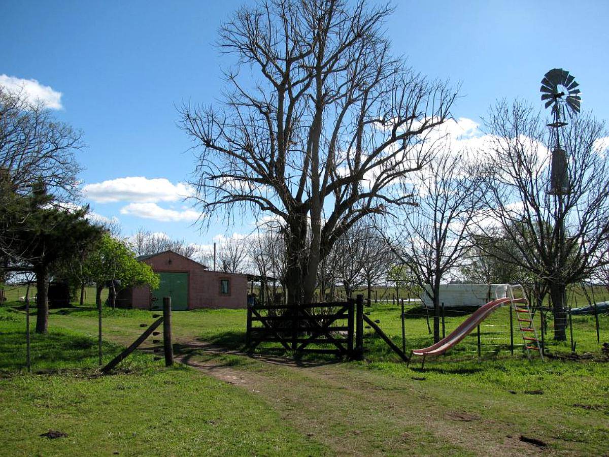 Udaquiola - 405 Ha - Buenos Aires