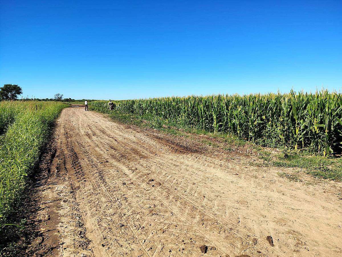 Vendo 190 Has en Coronel Bogado