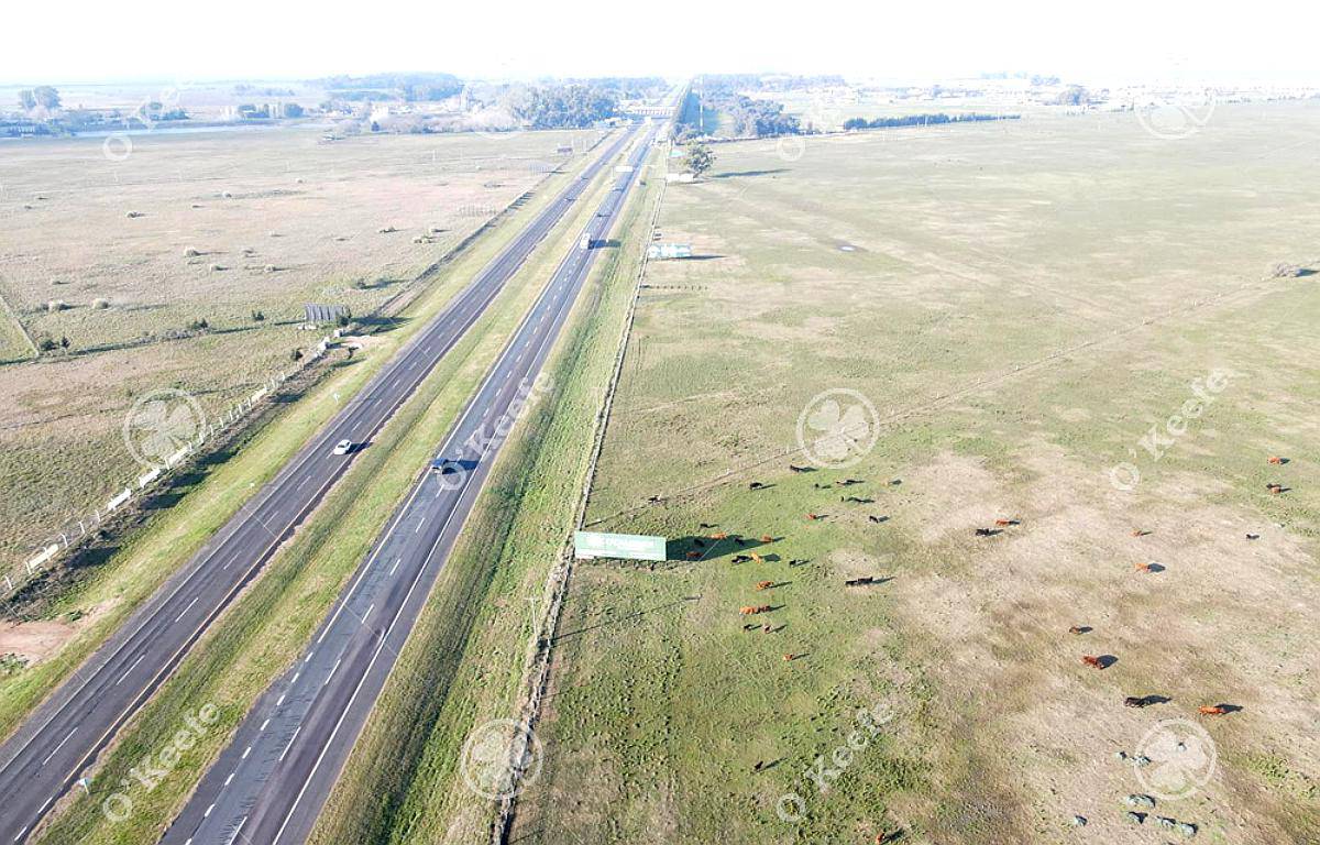 Campo en Venta 106 Has Brandsen. Apto Desarrollo