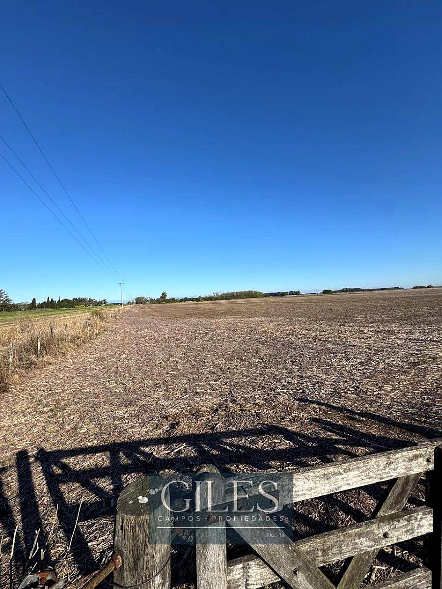 Campo Agrícola Sobre Autopista 9