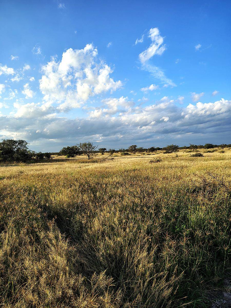585 Ha Ganaderas en Alquiler – Santa FE