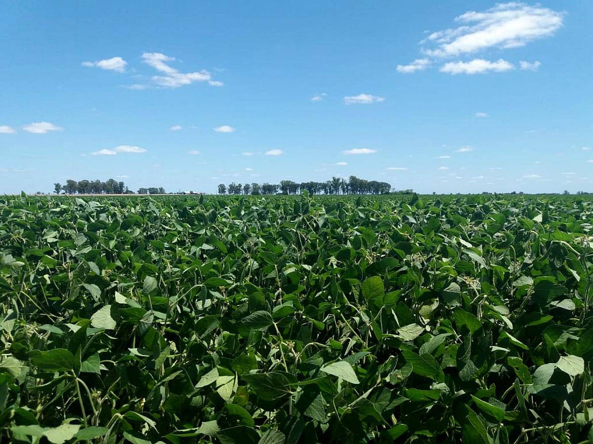 Vendo Campo-concepción del Uruguay