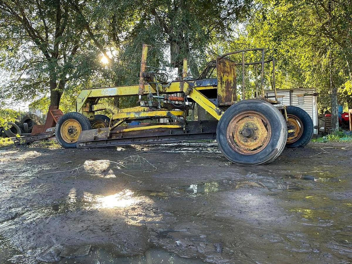 Champion de Arrastre Melga