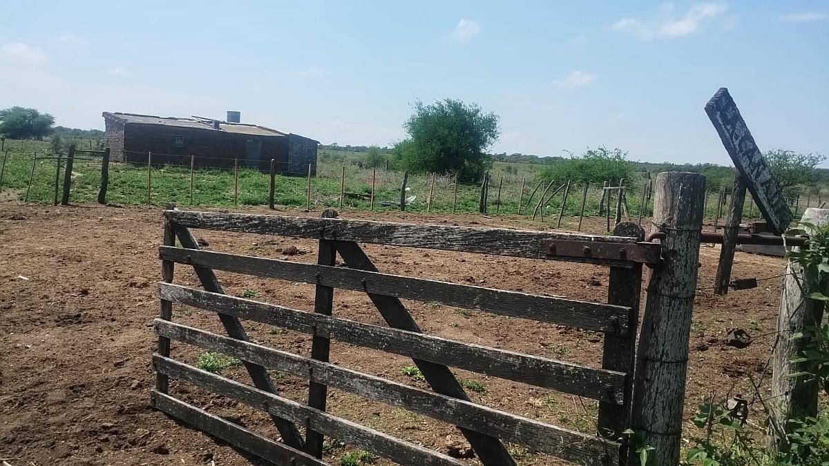 Ezn Venta Campo Ganadero 700
