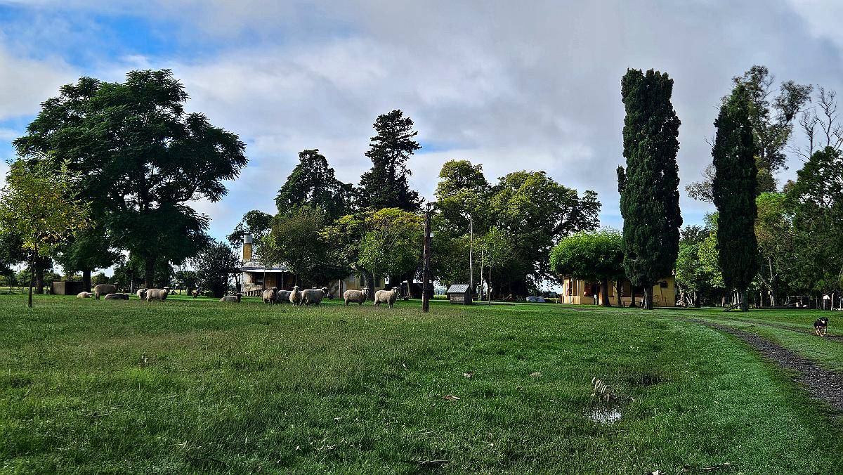 Campo Productivo de 67 Ha en Venta en Baradero Sobre Ruta