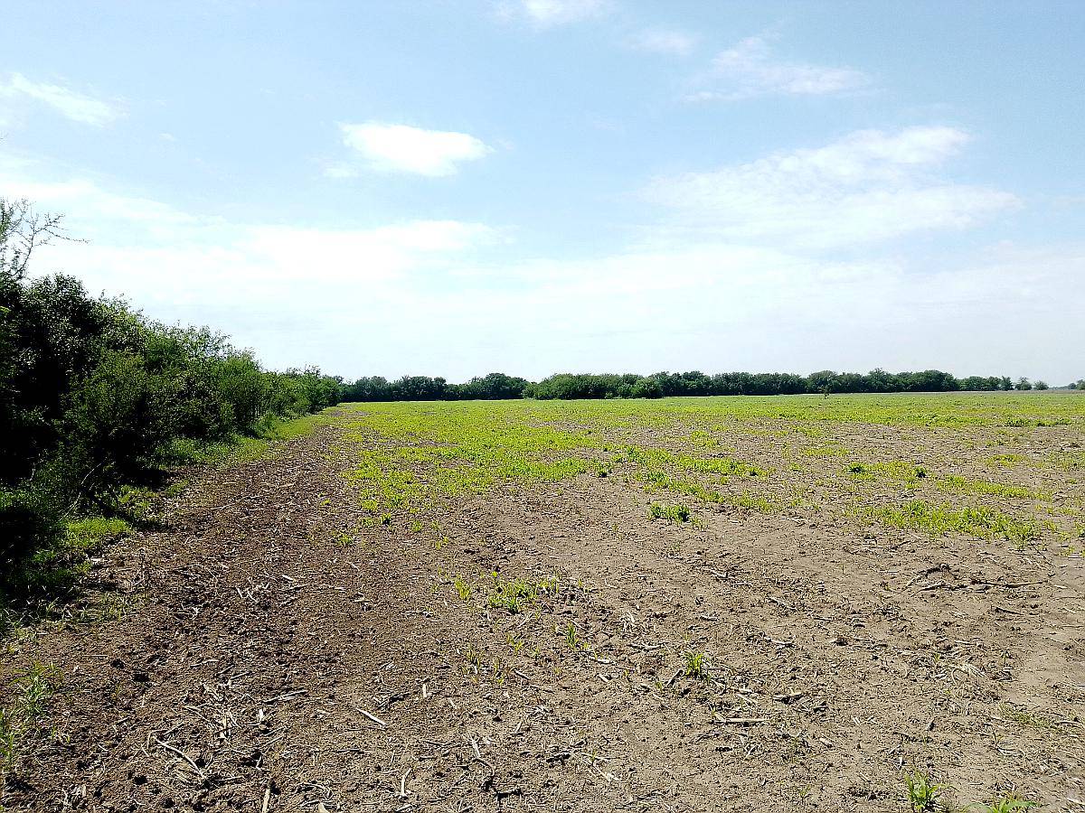 Campo Mixto Excelente Oportunidad