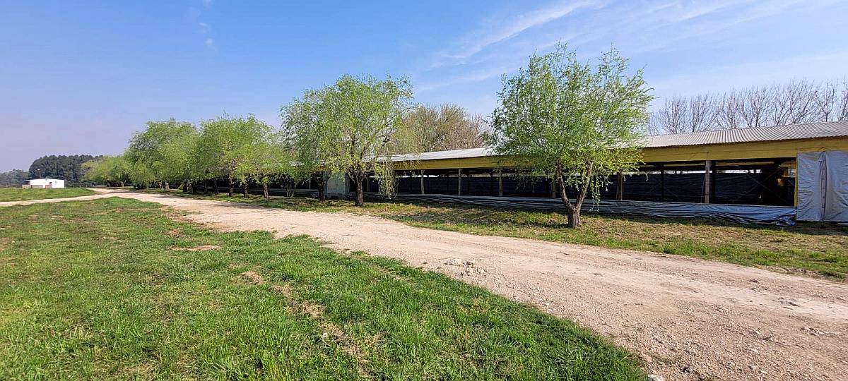 5 HA. en San Cipriano. Entre Ríos