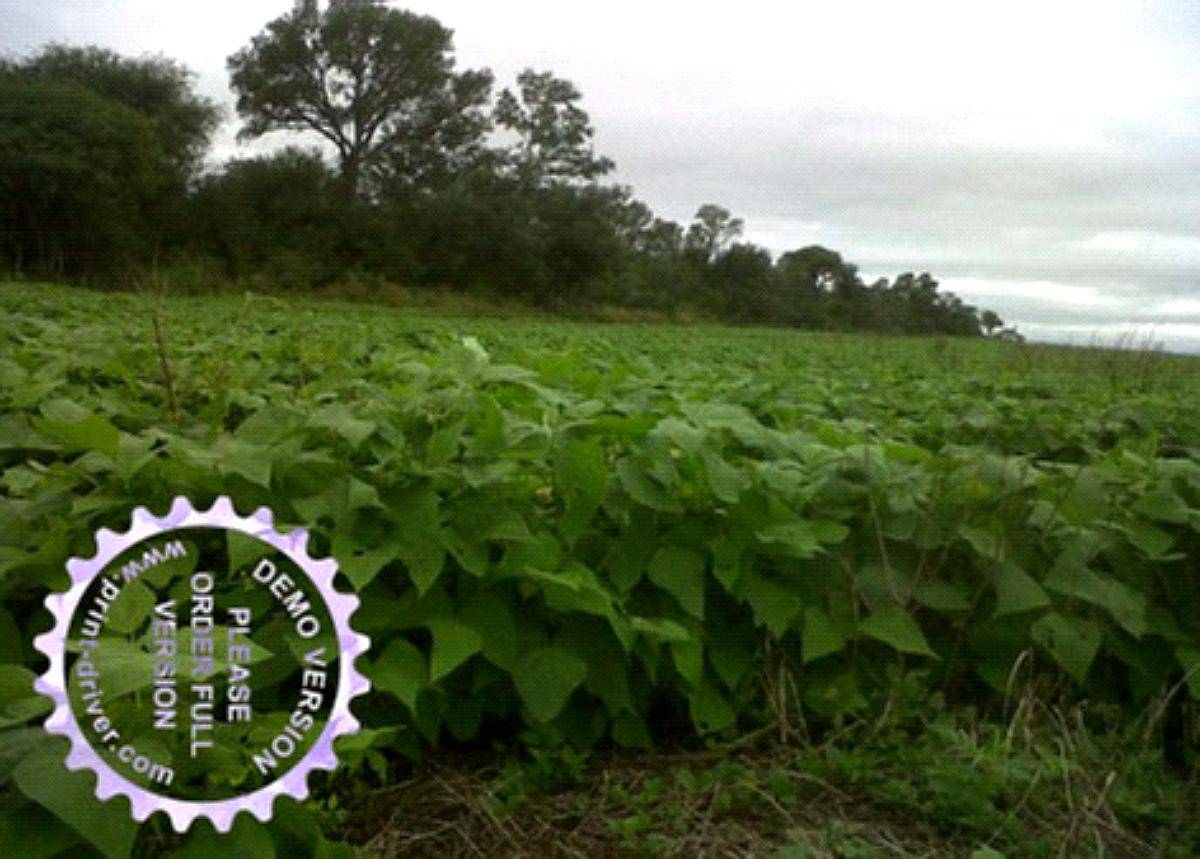 1.071 Ha el Galpon, Salta. Oferta y Financiacion