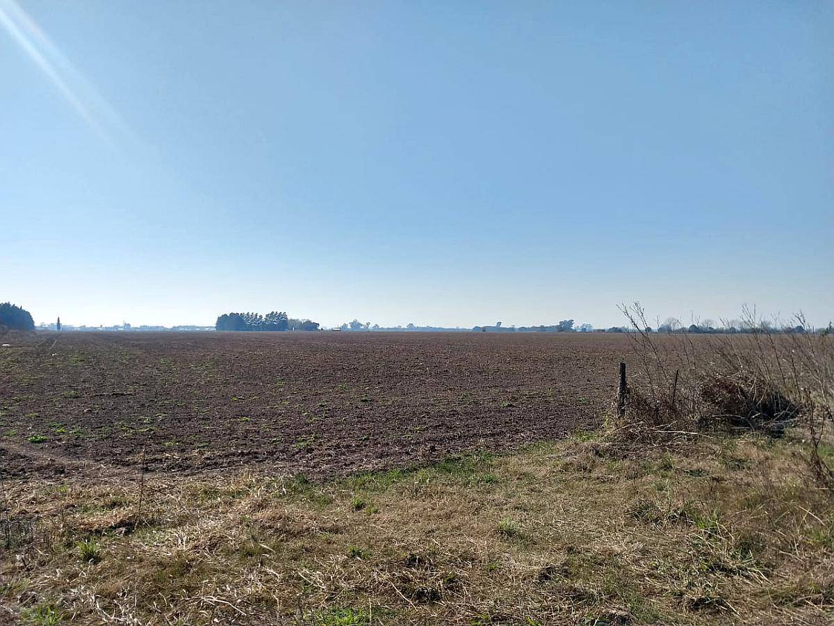 Campo de 6,29 Ha Sobre Autopista ROS - BS AS