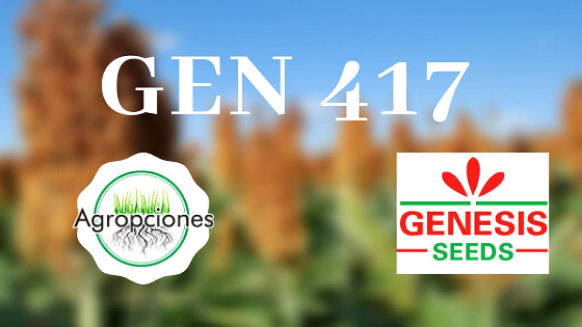 Semilla de GEN 417 Criadero Genesis Agroads