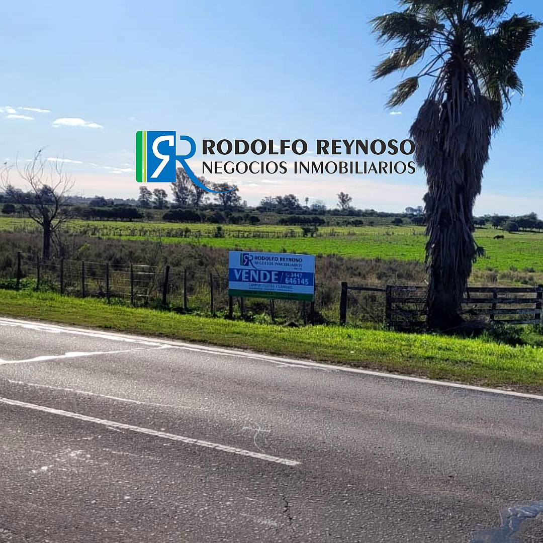 5 Hectáreas en Villa Elisa. S/ Ruta 130