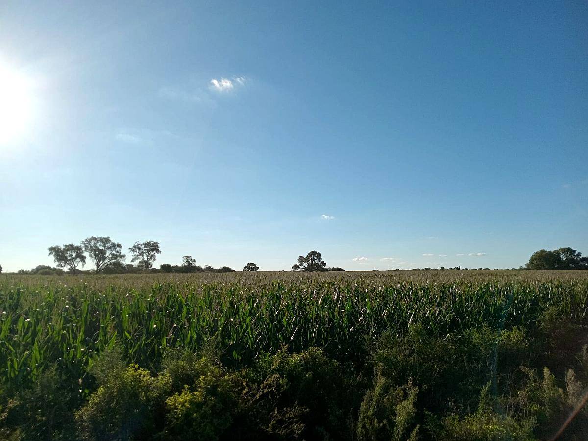 Venta 29,5 Ha Agrícolas en Capilla de Sitón