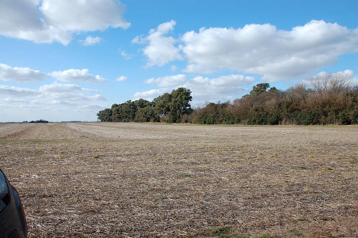 550 HA. Agrícolas en 25 de Mayo