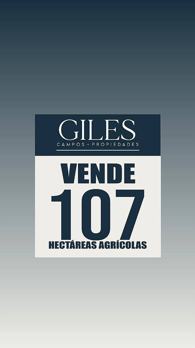 Campo Agrícola 107 Hectáreas