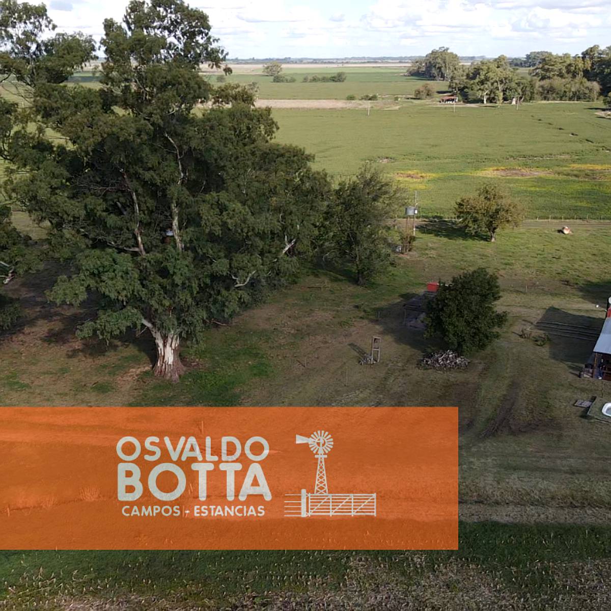 Campo Agricola en Venta 32 Has en Suipacha, Buenos Aires