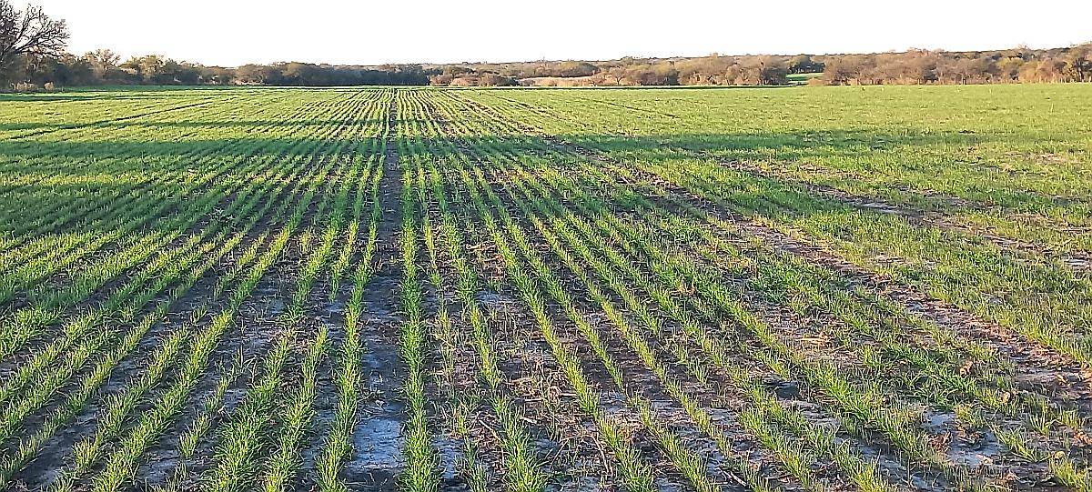 Campo Agricola 40 Hectáreas San Salvador Entre Rios