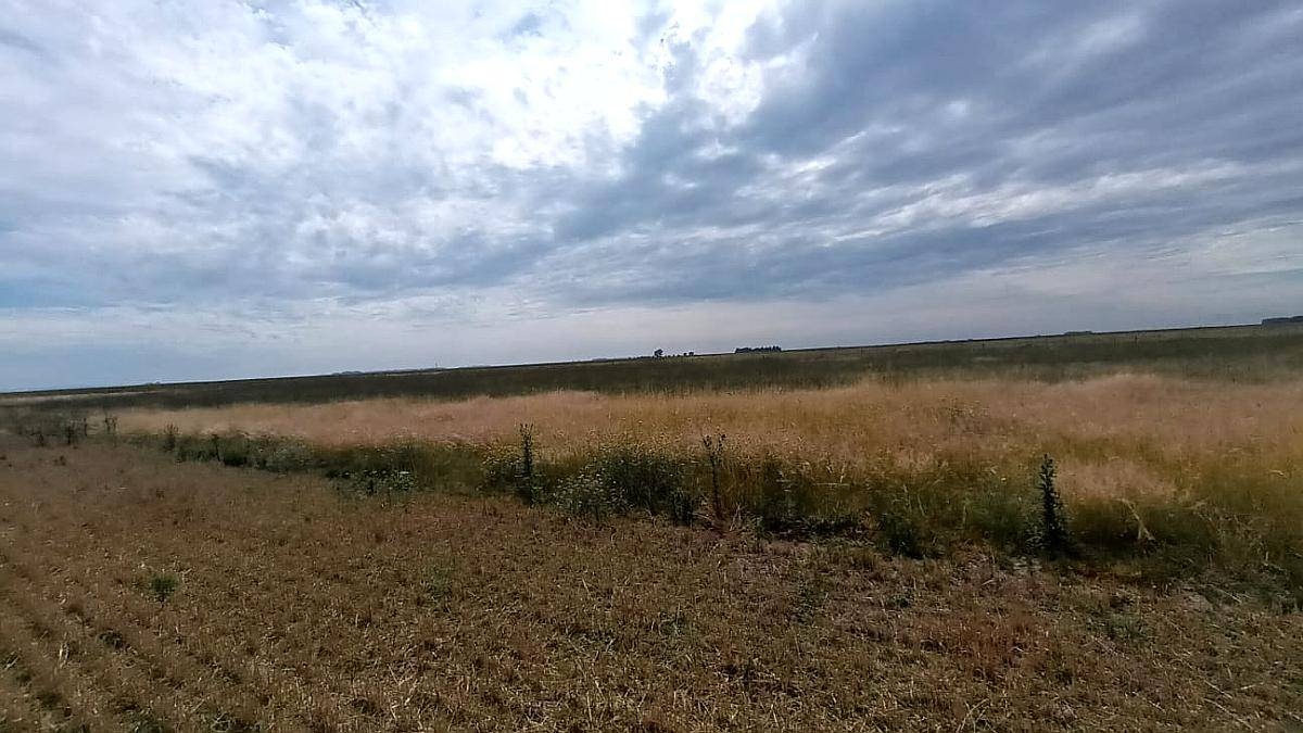 Campo Mixto Zona Necochea