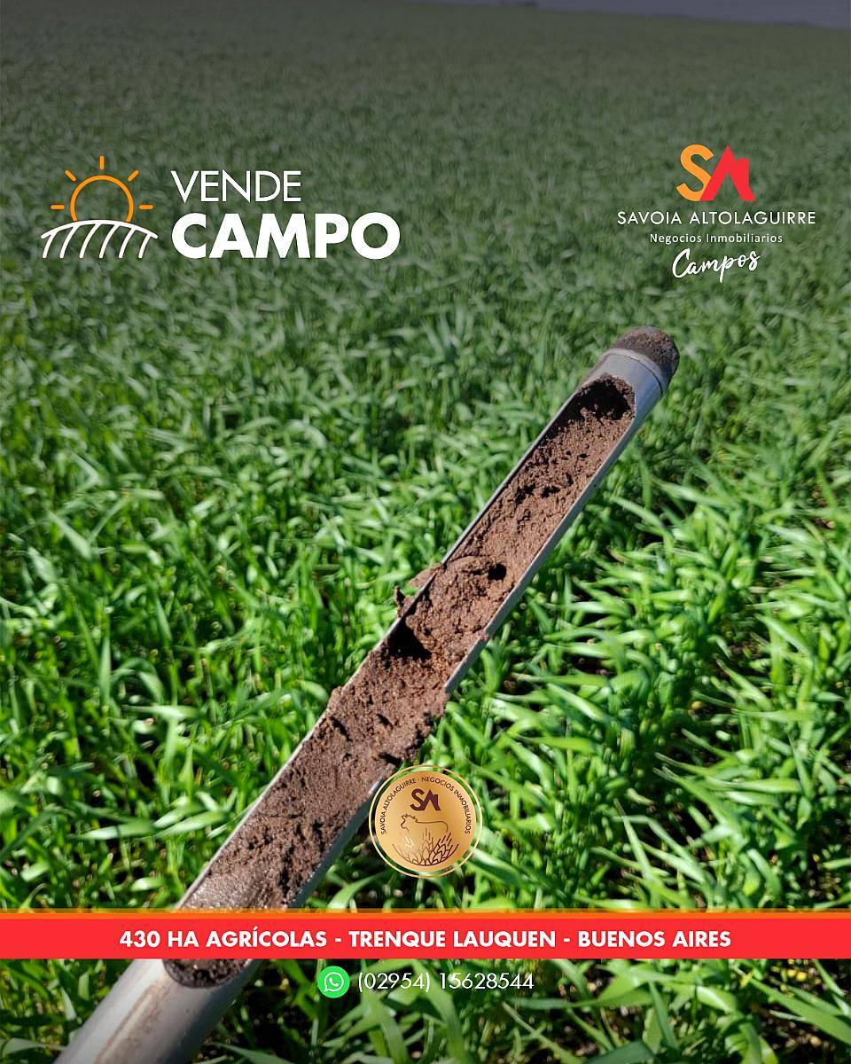 Vende: Campo Agrícola de 430 Hectáreas. Trenque Lauquen