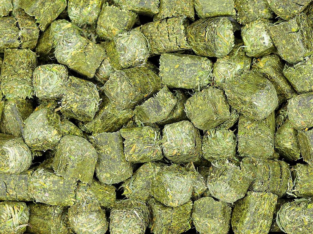 Cubos de Alfalfa - Lasna Insumos - MÍN 28 TN