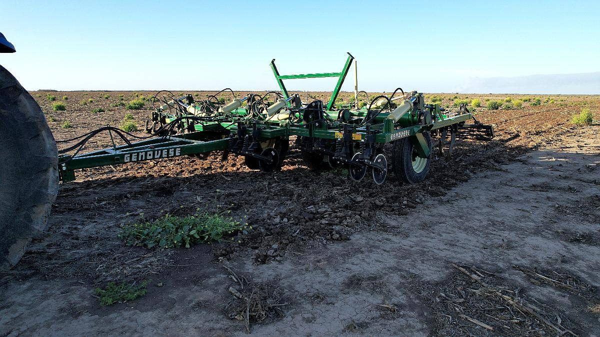 Subsolador Descompactador Escarificador Recto Genovese