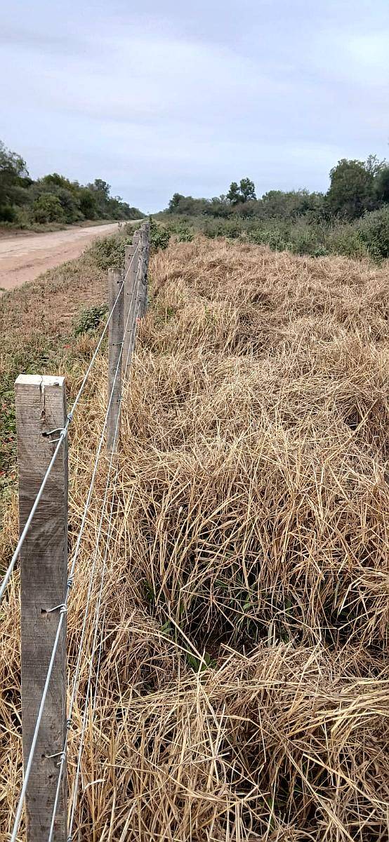 En Venta Campo Mixto Oportunidad de Inversión y Rentabilidad