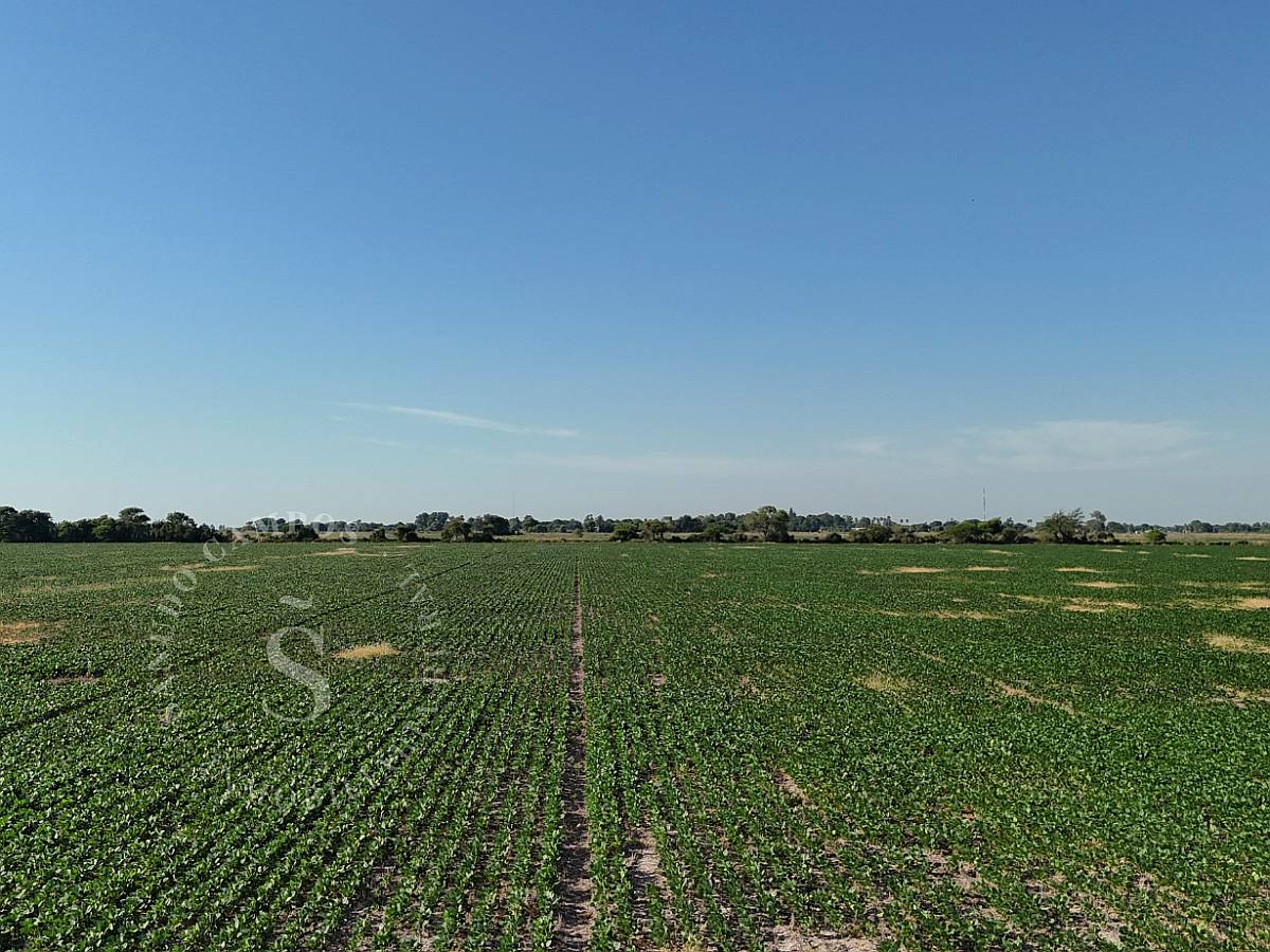 Venta Campo. 64 Hectáreas. Soledad, Santa FE.