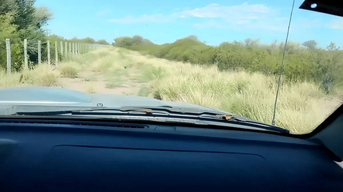 Campo en Venta: la Cruz del Yugo la PAZ Mendoza – 4500 Ha