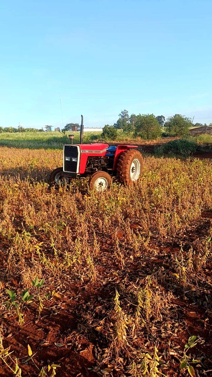 Agrícola Tractor Massey Ferguson 275