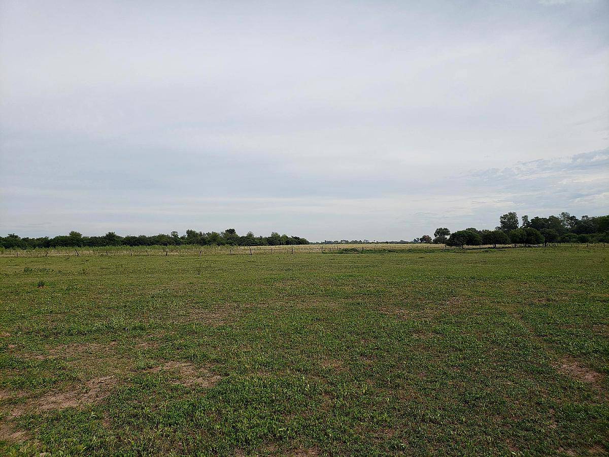 Campo Agrícola 12 Has a 5 km de Sáenz Peña Chaco