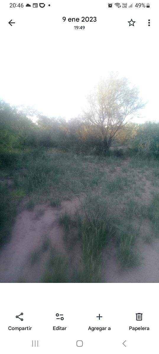 Alquiler para Siembra, Candelaria