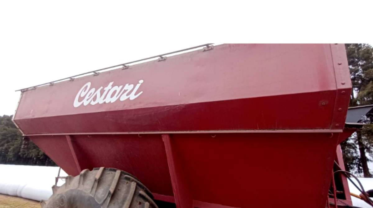 Monotolva Cestari de 18 TN - año 2008