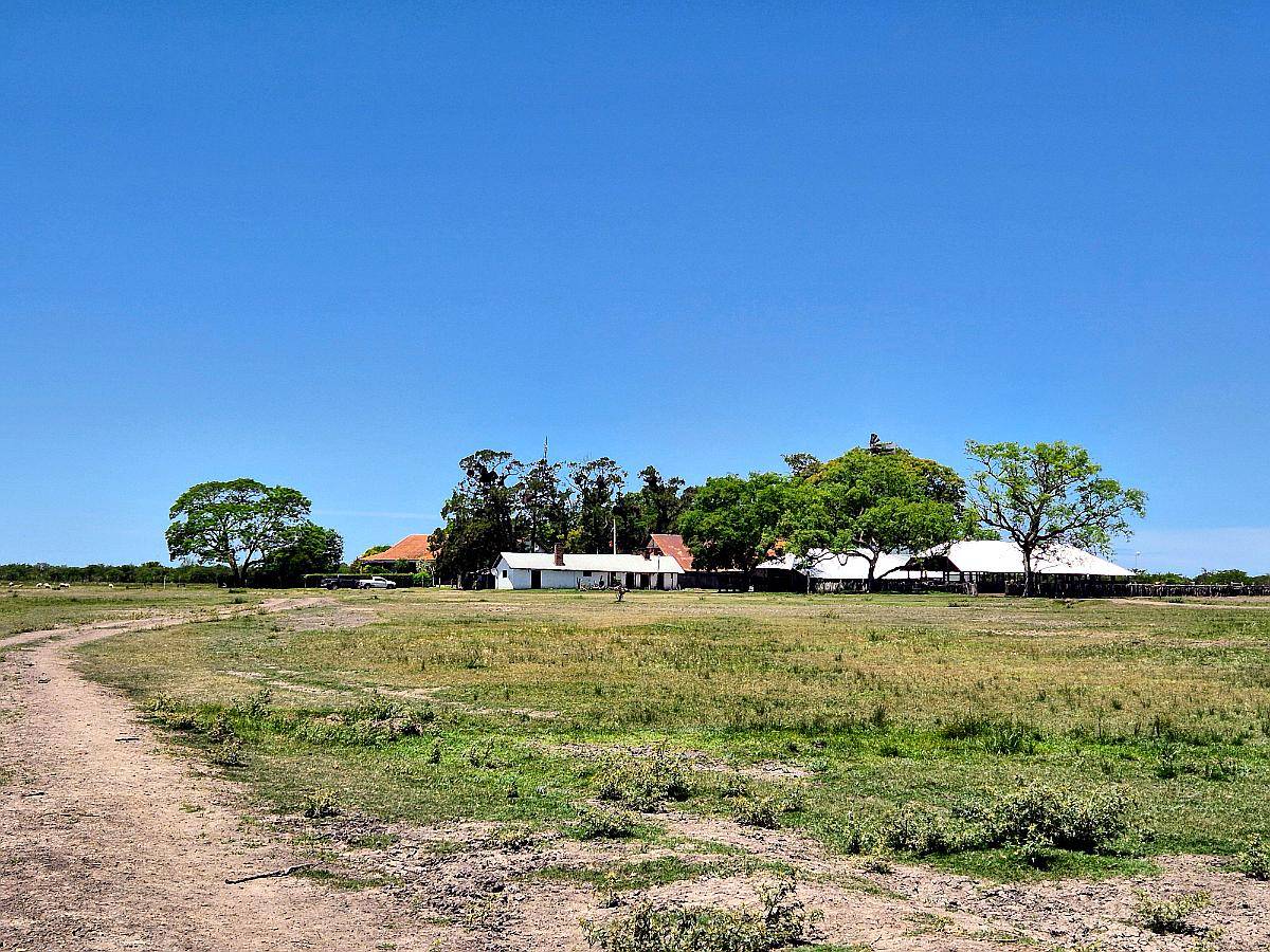 Er0345 4000 HA. Mixto Felciano Entre Rios