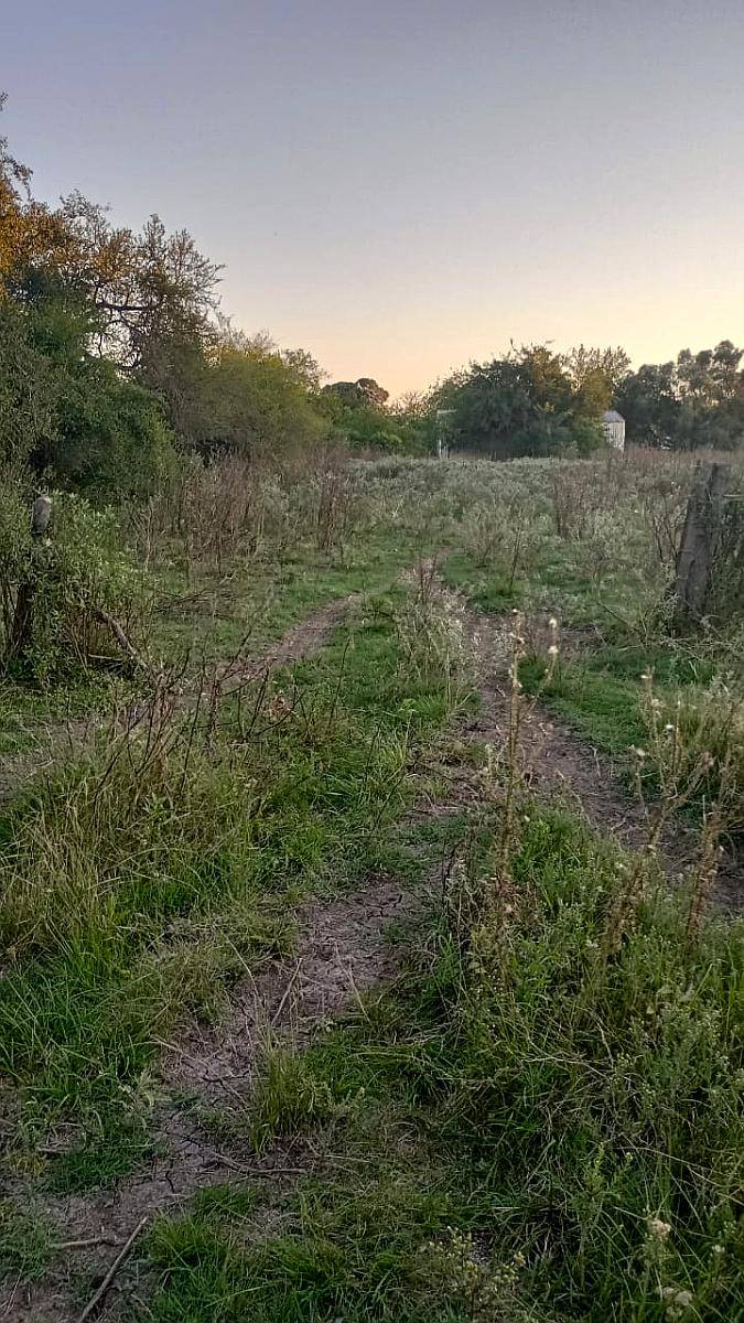 260 HA. Buen Campo Ganadero. Dpto Paraná
