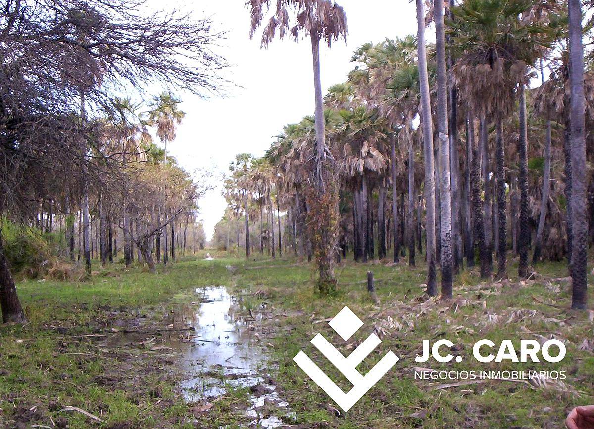 Muy Buen Campo Mixto en Venta