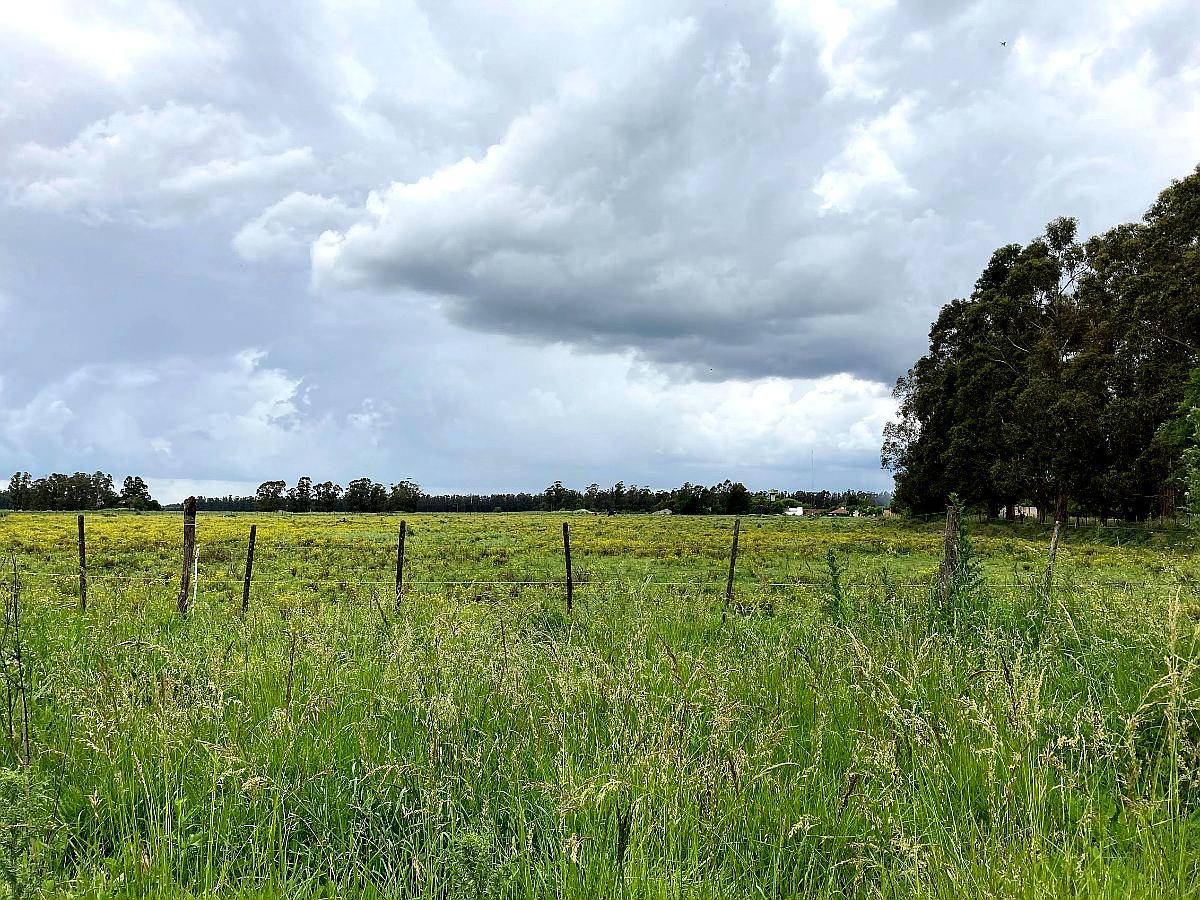 Campito de 3,2ha en Alquiler