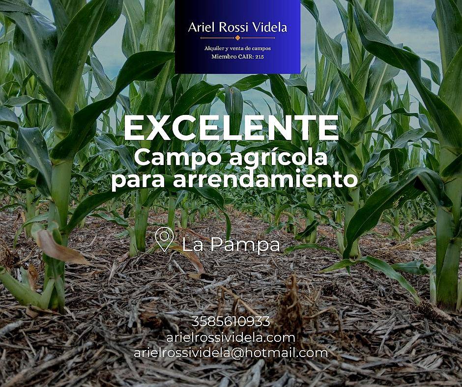 Disponemos de Campo Agricolas en Arrendamiento la Pampa