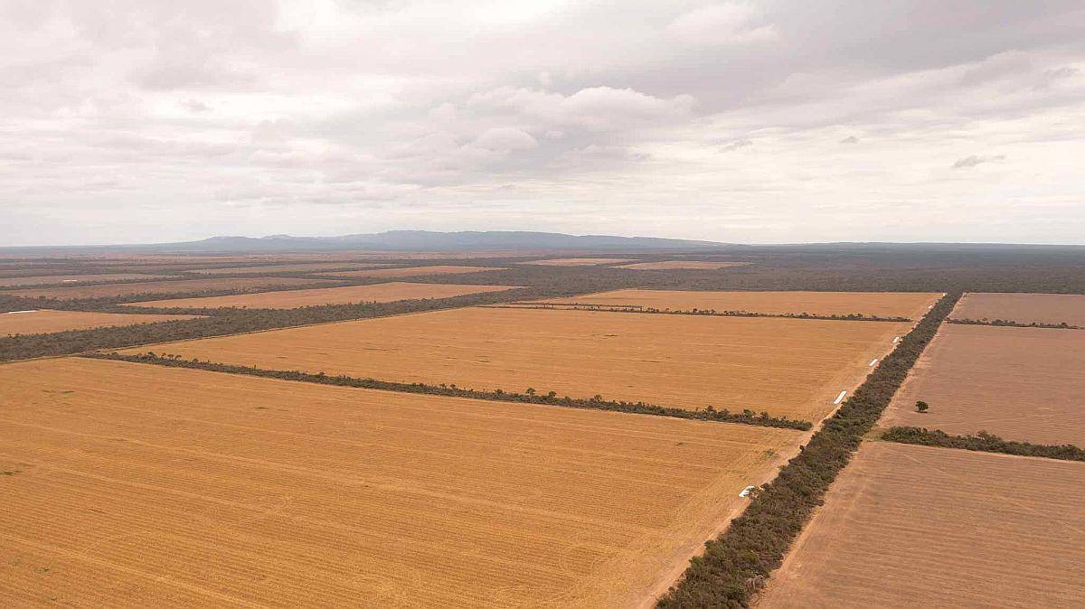 Pcia. de Salta - el Quebrachal 645 Has