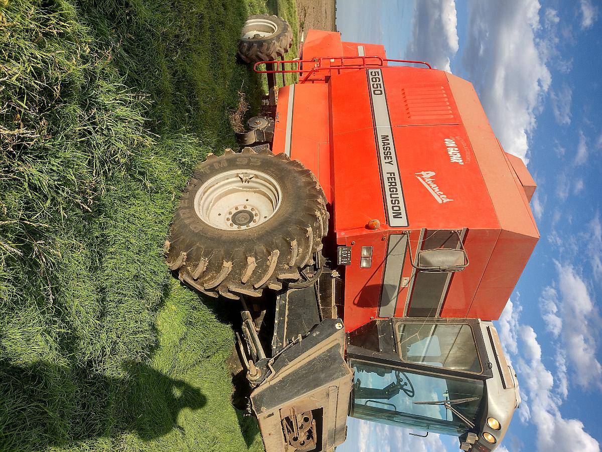 Massey Ferguson 5650 Advanced - Año: 2004 - u$s 18.000 - Agroads