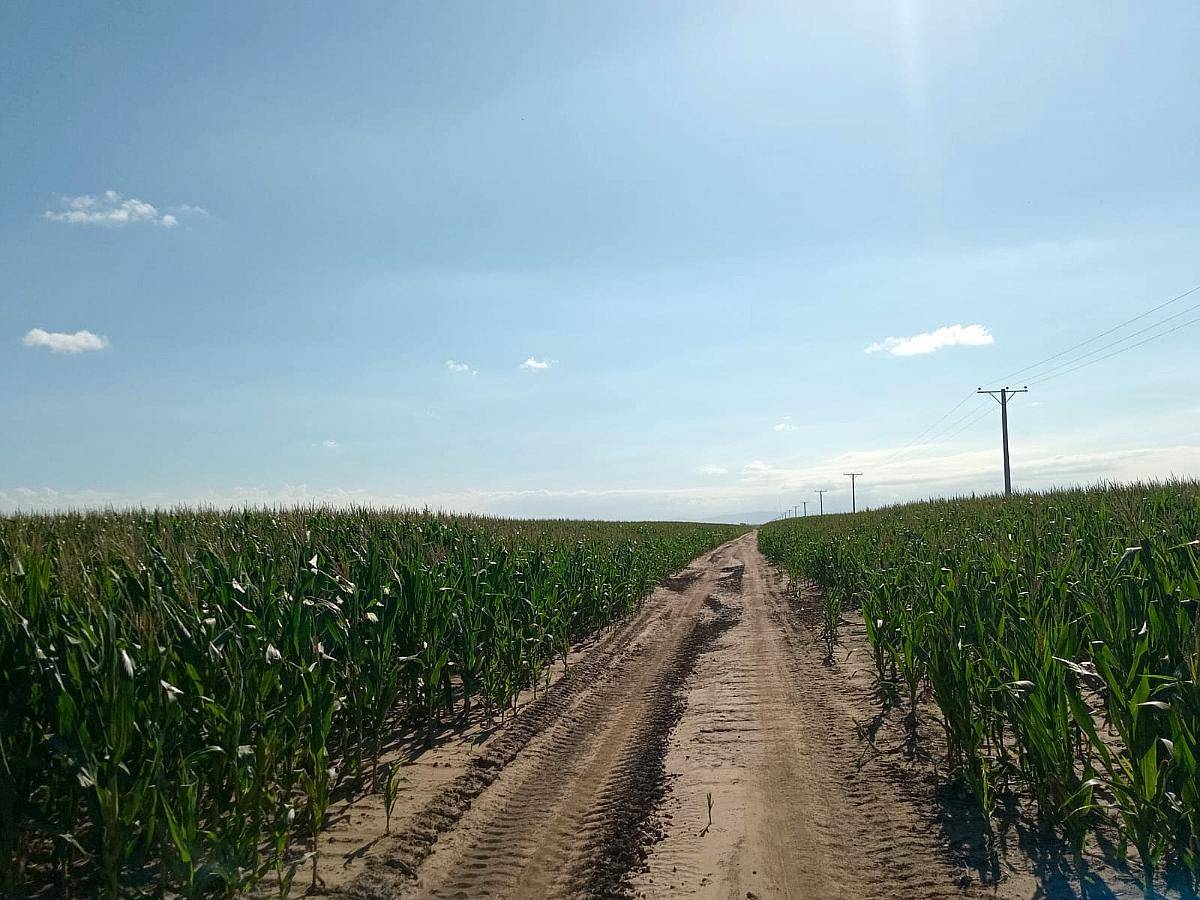 69 Ha en Venta en Monte Cristo