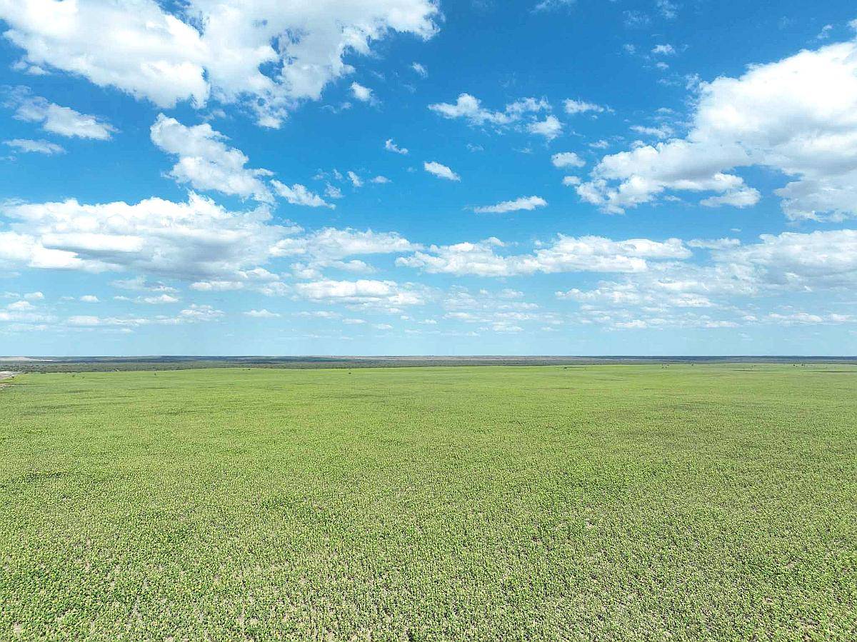 Pcia. de San Luis - Nahuel Mapa 3458 Ha