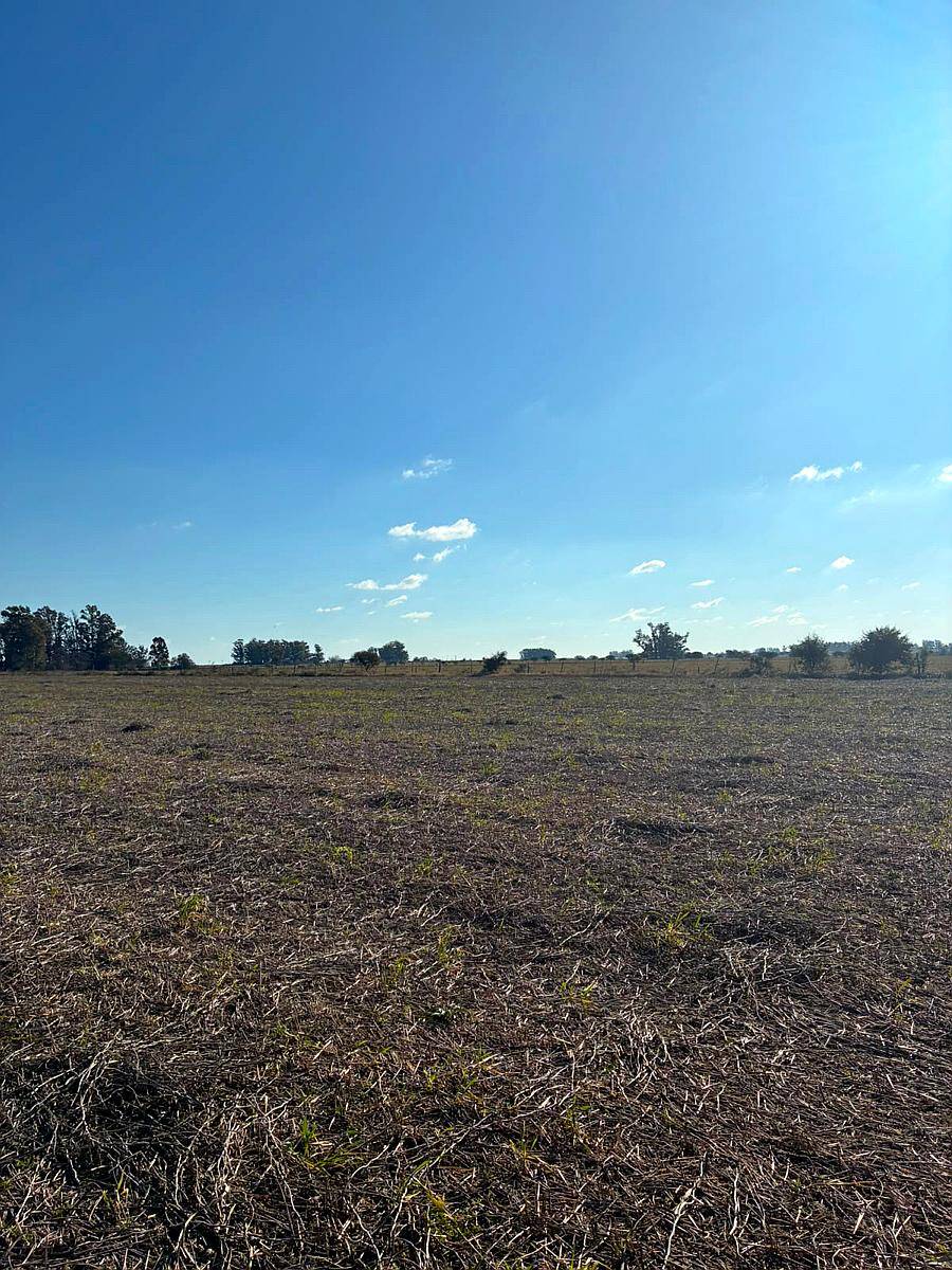 200 Has. Agrícola Cercano a Ruta